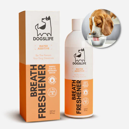 Dog Dental Water Additive (237ml) - Tannhreinsiefni fyrir hunda