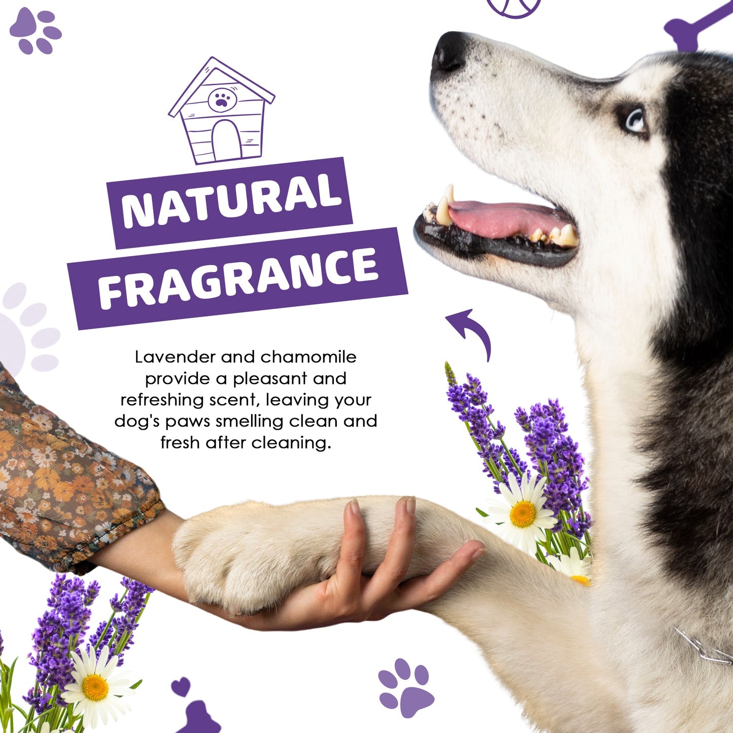 Paw Cleaner (200ml) | Loppuhreinsir með klúti og innbyggðum bursta