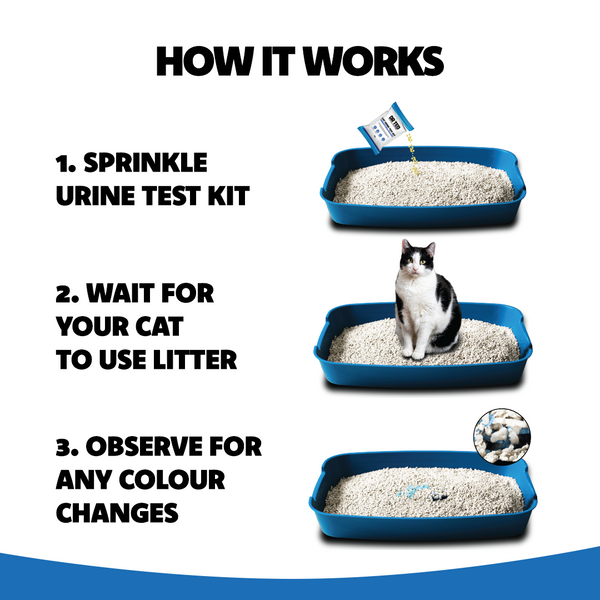 Cat Urine Test Kit Hematuria / Blood Detector - Próf sem greinir þvagfærasýkingu og þvagblöðru vandamál