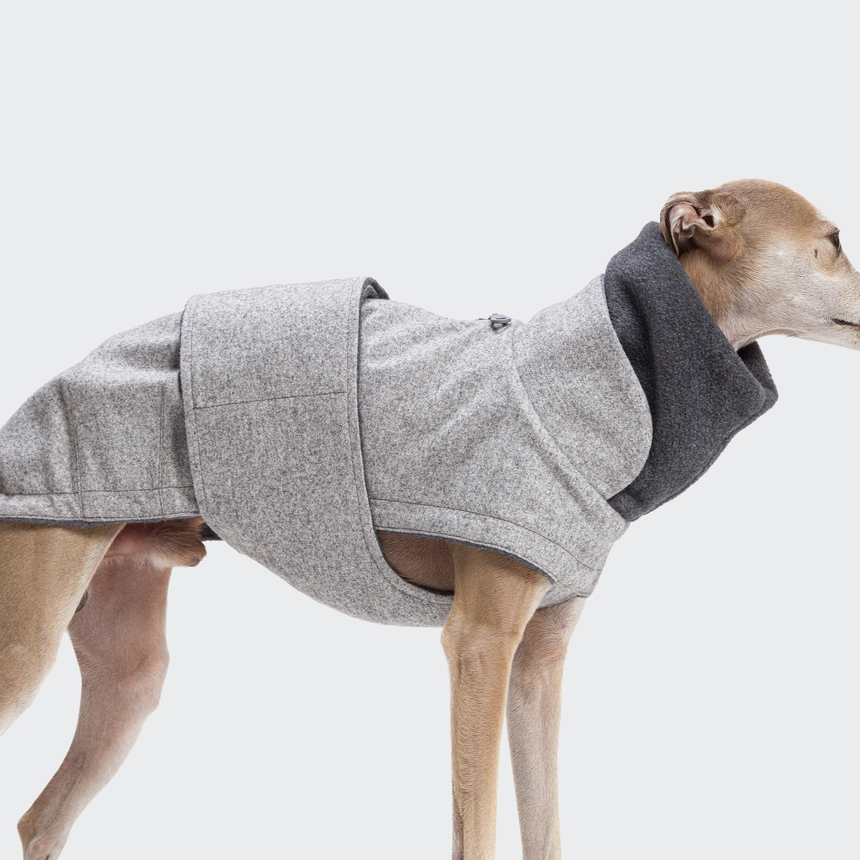 BROOKLYN Italian Greyhound Flannel-jakki Grey