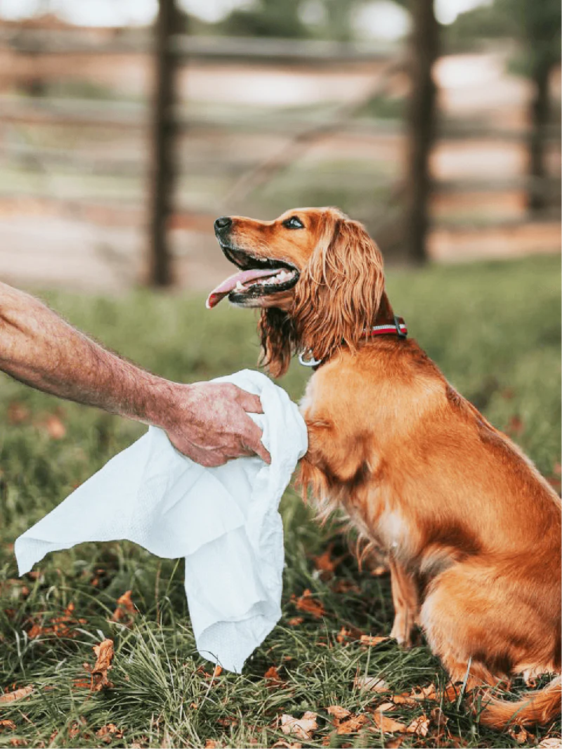 Eco Towels (20stk) | Einnota og umhverfisvæn handklæði fyrir hunda