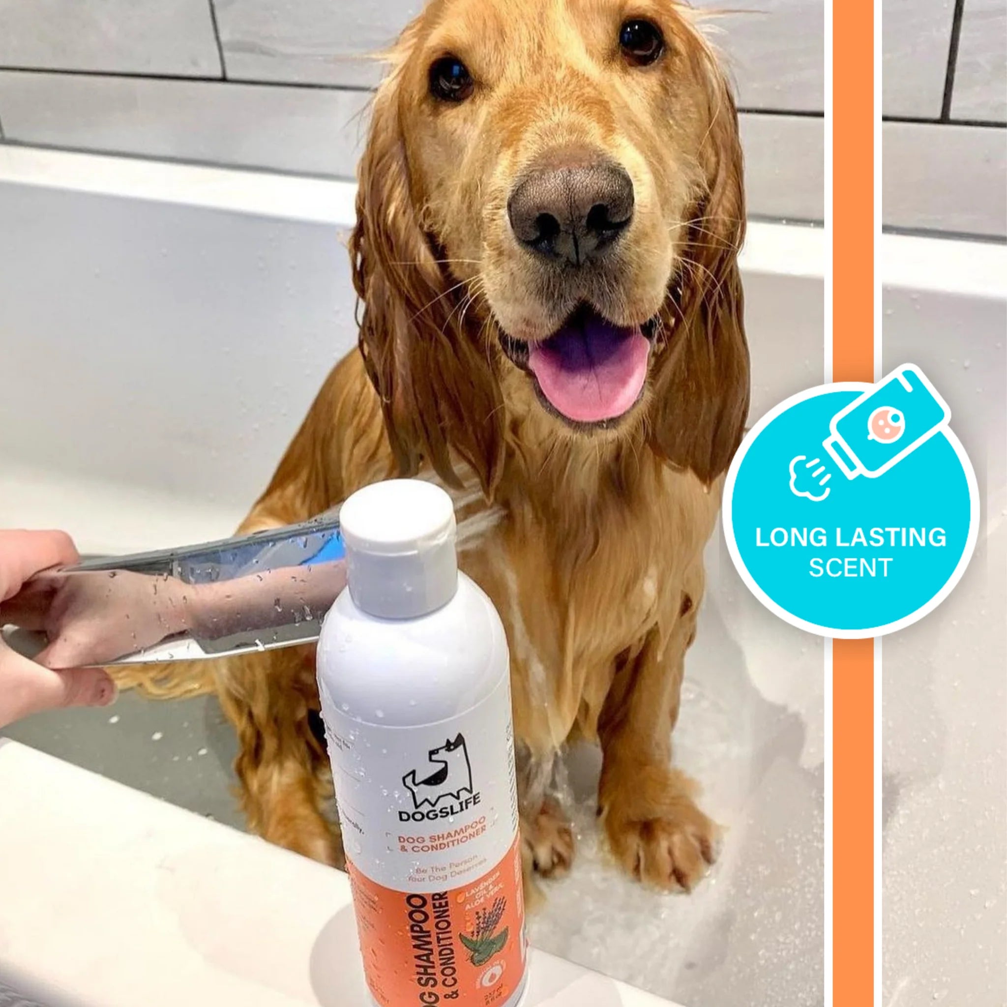 All-In-One Shampoo & Conditioner | Sjampó og næring fyrir hunda