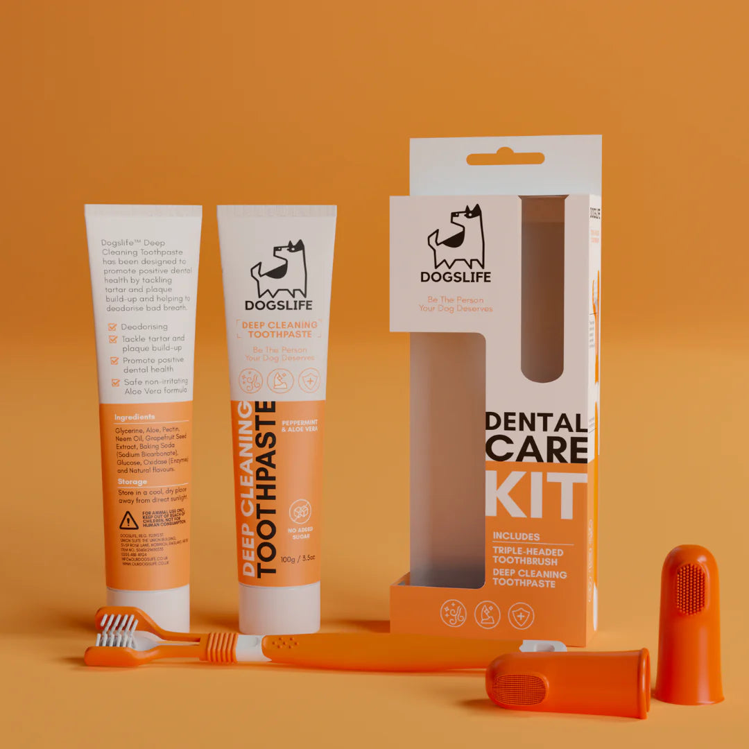 Dental Care Kit | Tannkrem, tannbursti og sílikonbursti